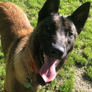 Meet your Posher, Ava